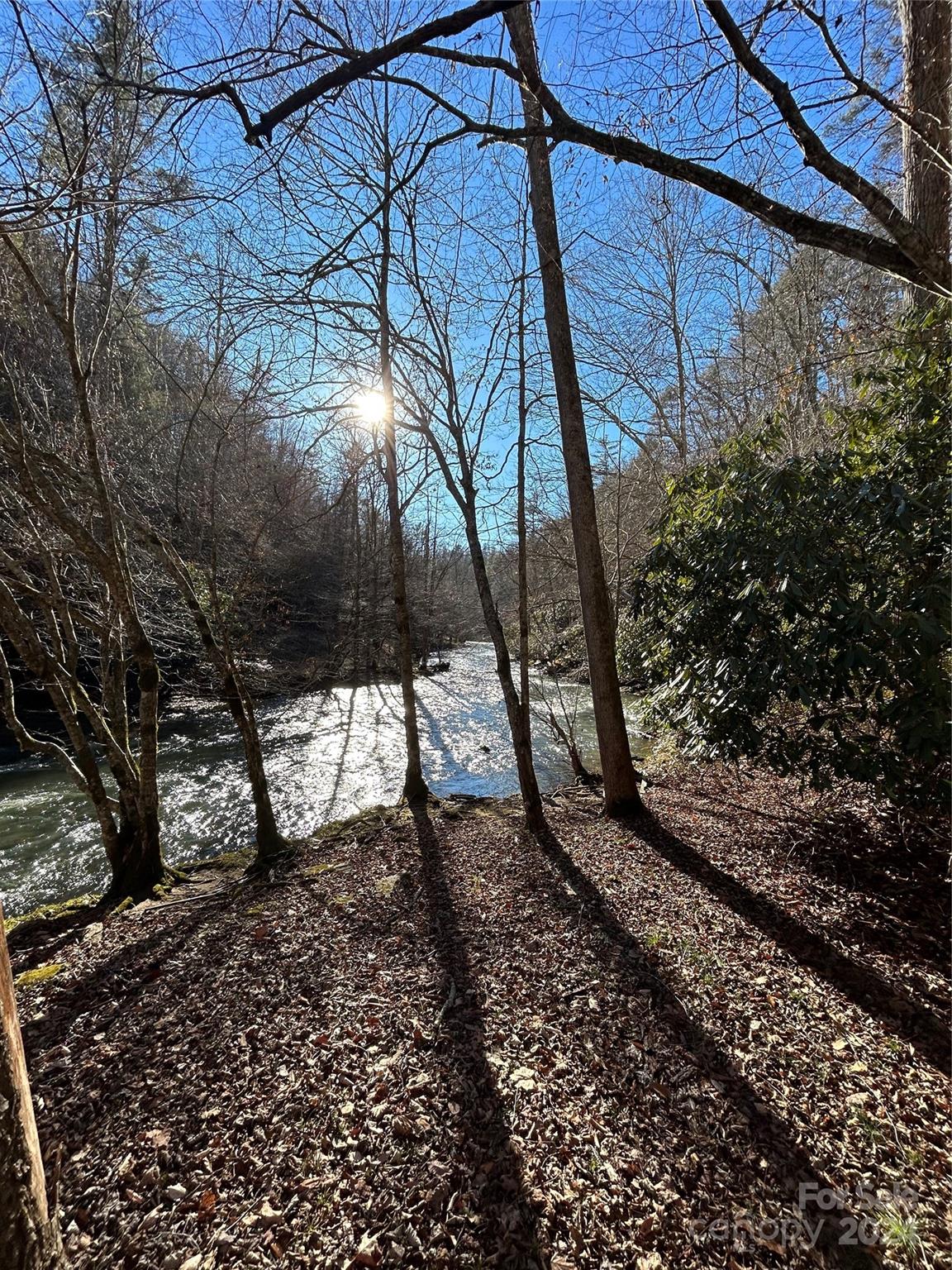 Big Laurel Mountain - Land