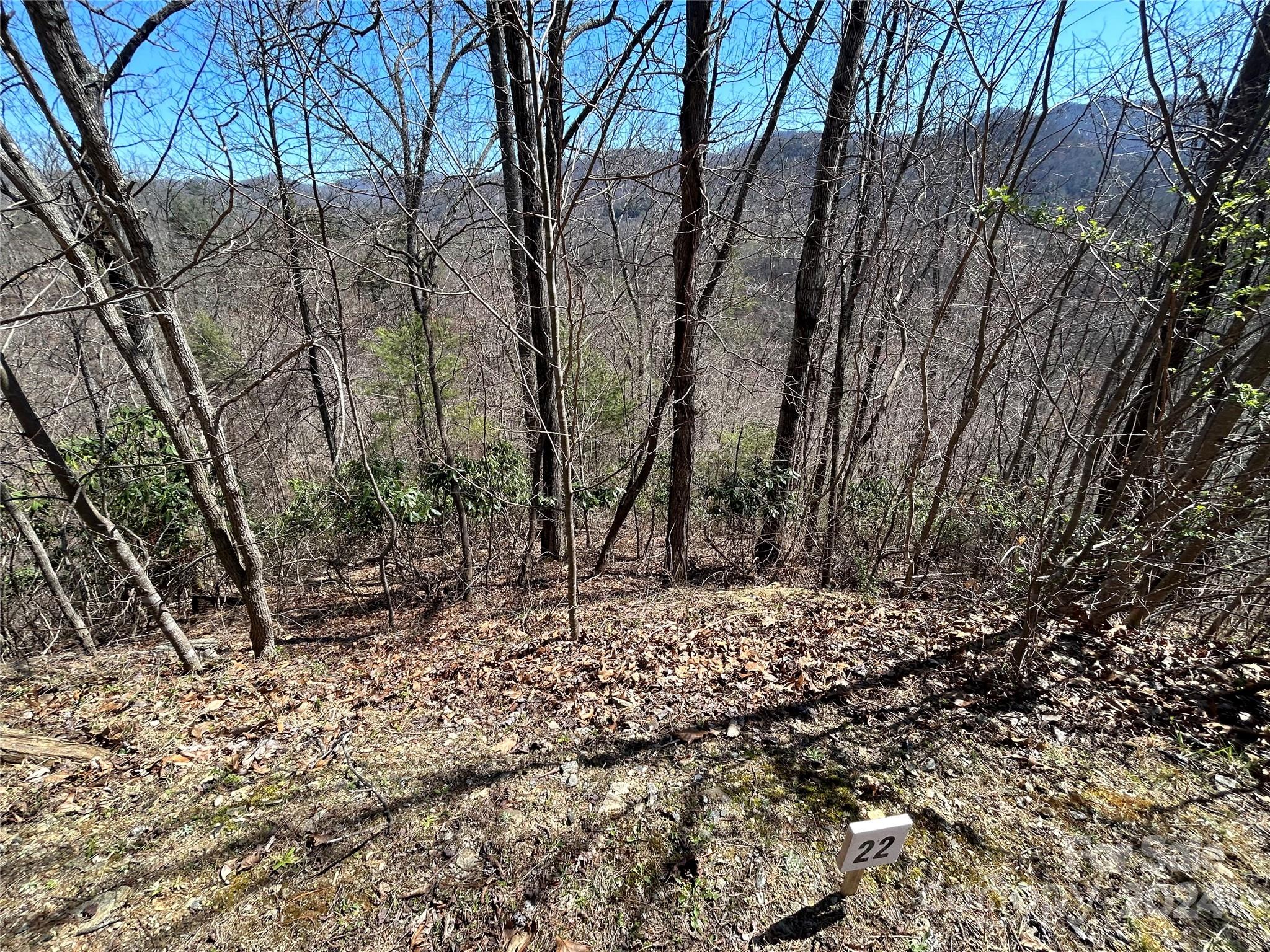 Big Laurel Mountain - Land