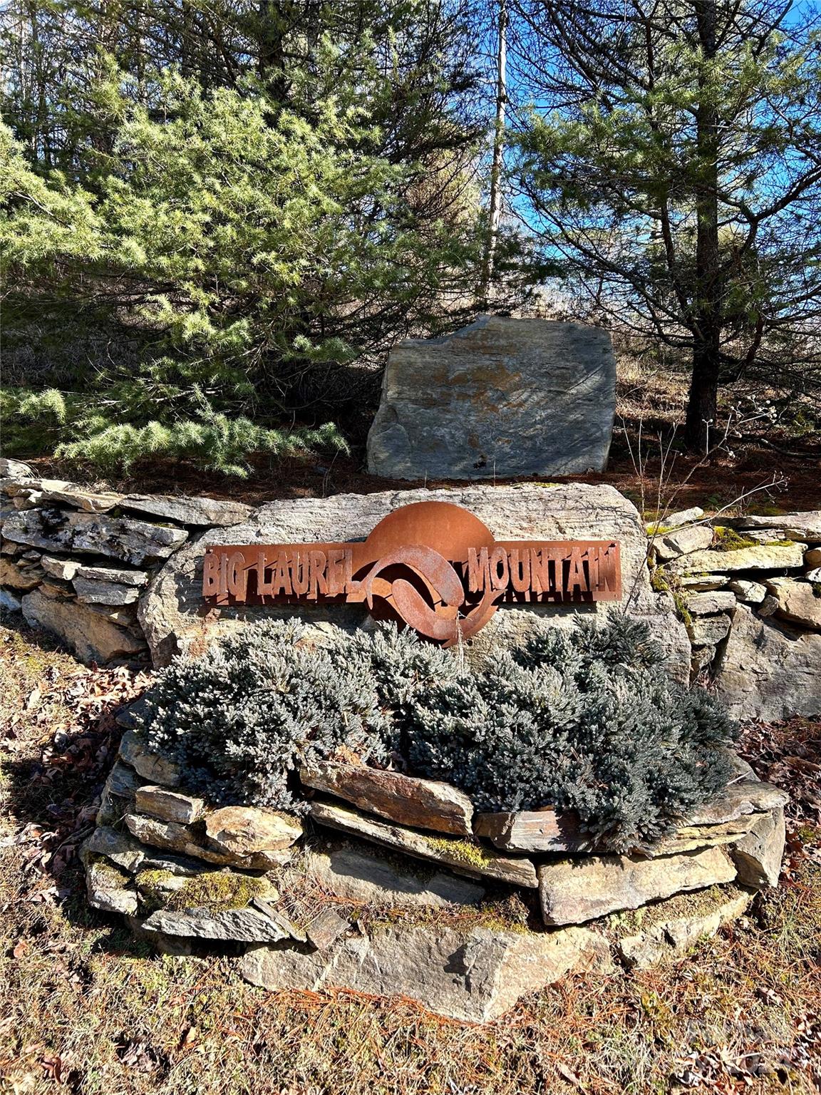 Big Laurel Mountain - Land