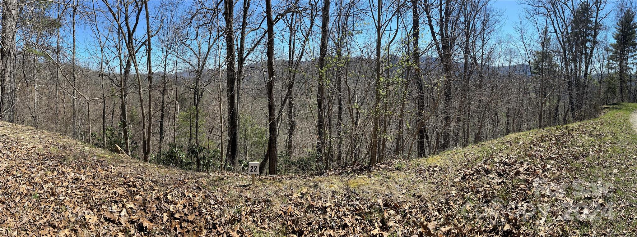 Big Laurel Mountain - Land