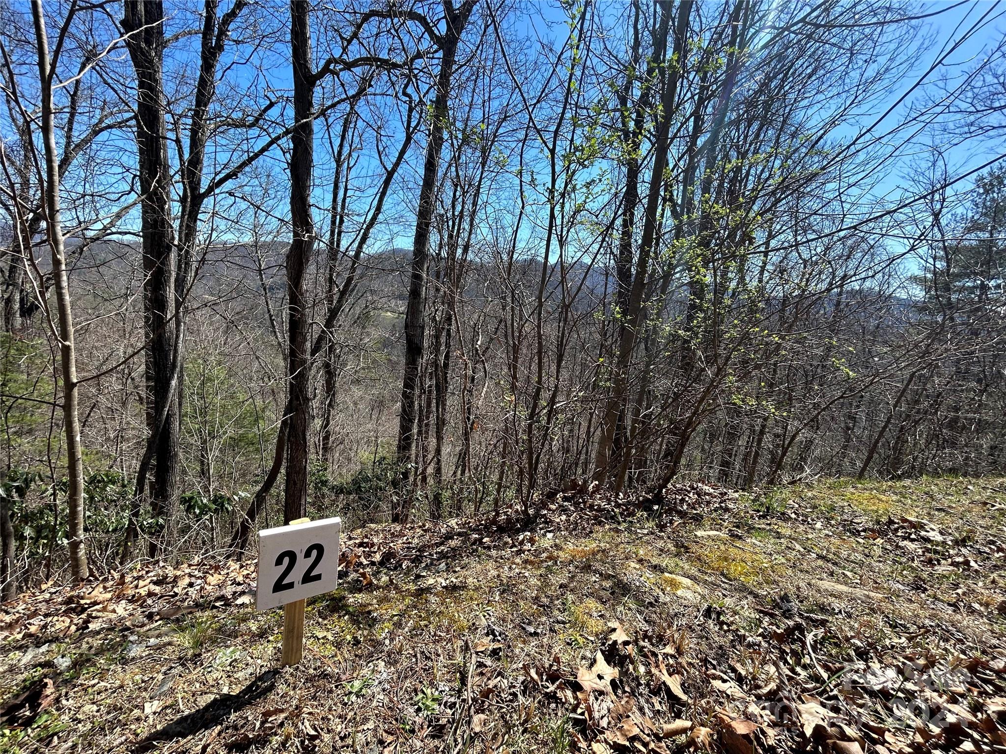 Big Laurel Mountain - Land
