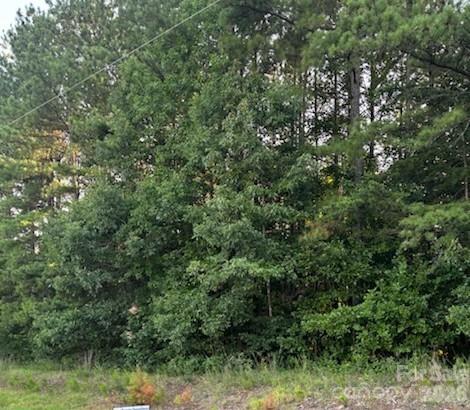?? Beautiful 1.50-Acre Wooded Lot in Catawba County — Stream & Prime Location
Build your dream home on this gorgeous 1.50-acre +or-(property being surveyed) treed lot featuring a peaceful stream along the back of the property. Located in desirable Catawba County, you’ll enjoy low property taxes, no HOA, and the freedom to create the lifestyle you want. Perfectly positioned near Highway 16, this property offers easy access to Hickory, Charlotte, and Mooresville, making daily commuting and weekend outings incredibly convenient. A rare opportunity to own a private, natural setting with unbeatable location advantages.