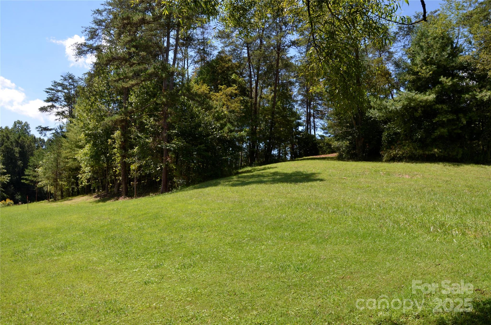 Ivy Meadows - Land