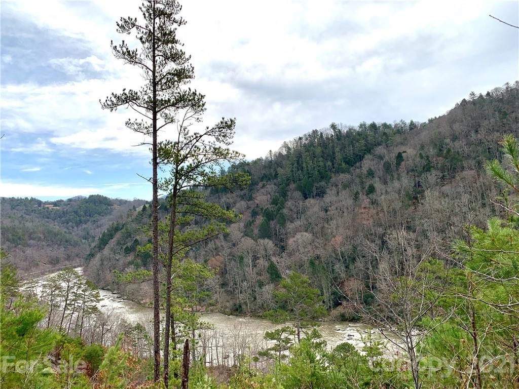 You can't get closer to the French Broad River than this! The mighty river will flow right in front of you and this view will deliver stunning daily sunrises along with vast mountain views! If you're looking to build your dream mountain home or vacation getaway, look no further. French Broad Crossing is a gated conservation community with easy access to Asheville and amenities galore! Enjoy the River Lodge, Fitness Center, Pool, River Park, Treehouse, and miles of walking/ATV trails! Relax and watch the sunset from the River Lodge, gather with family and friends by the fire, or just absorb nature on the trails. This is THE place to check out of the daily hustle and bustle and take a deep breath! Fiber Optic cable has also been wired throughout the neighborhood. FBC has a designated medical helicopter landing zone.