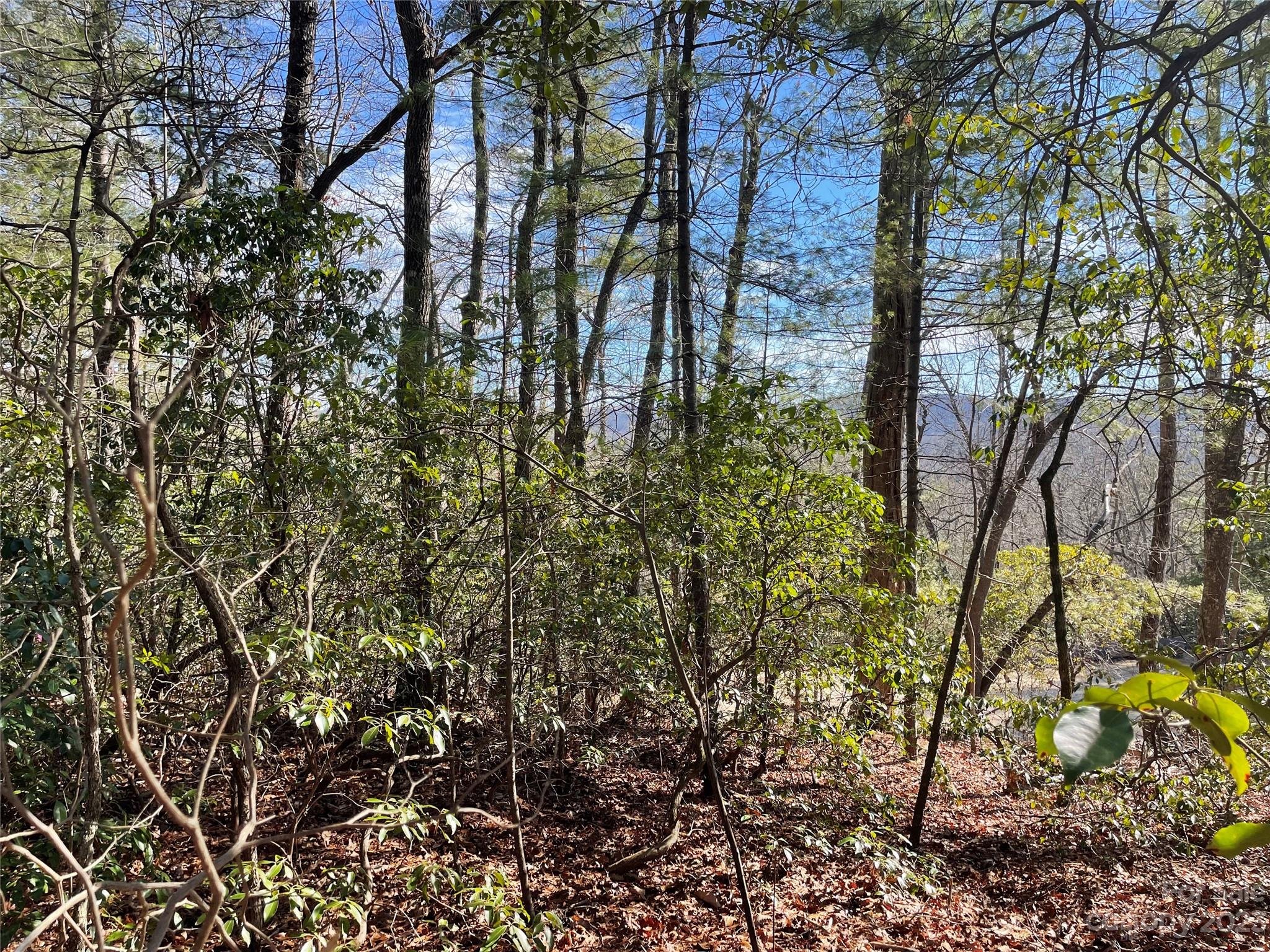 2.62 Acres of property in the quiet subdivision of Hickory Run. A small gated community that offers privacy, mountain views, access to Lake Summit as a resident of Green River fire District. The Green River Game lands consist of 18,639 acres of wilderness, nine named trails that run through the Game Lands. hunting is allowed in the Game Lands. With DuPont State Recreational Forest nearby there are miles of trails to explore with falls to hike to. Come build your dream home in this community with  great access to Flat Rock, Hendersonville. Less than an hour to Asheville or Greenville depending on the direction you want to go.