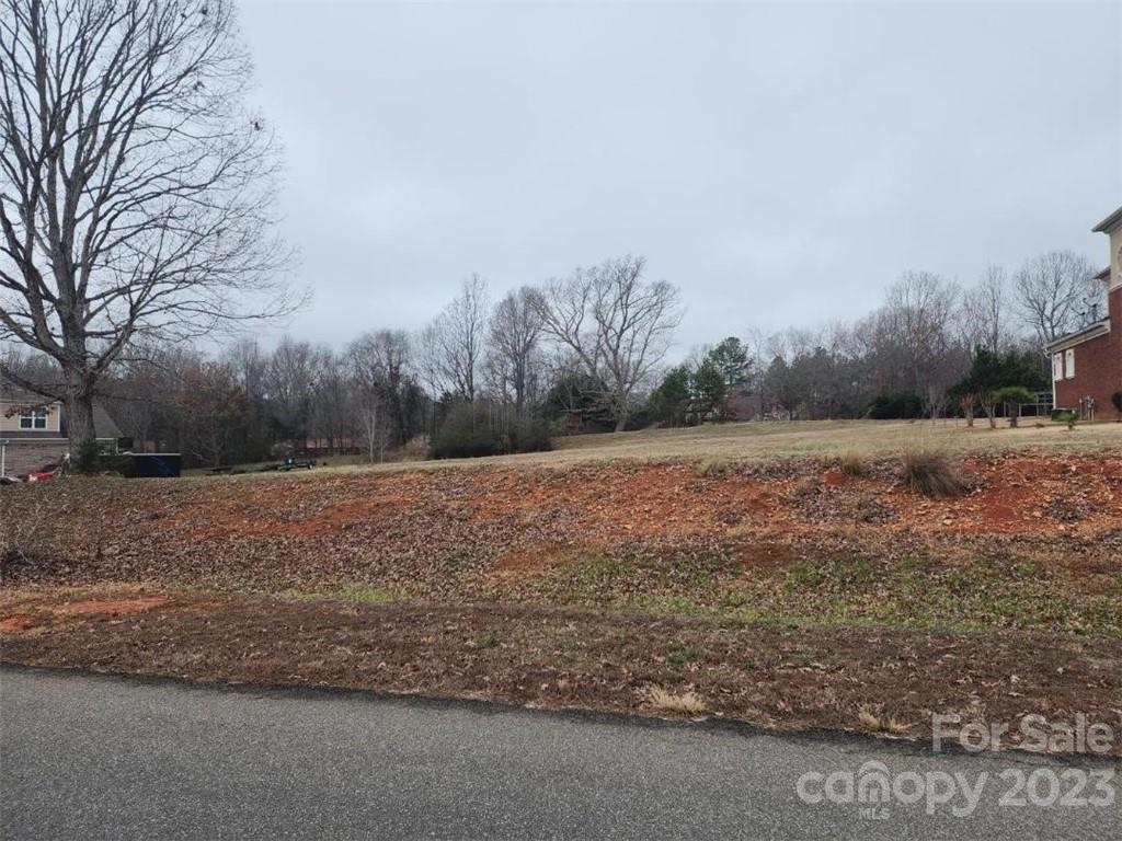LOCATION, LOCATION, LOCATION. This beautiful level 1-acre lot is located in a well-established neighborhood. Close to schools, shopping, dining, and parks. Only minutes to I-77. Make 2023 the year to build your dream home. Can be sold together or separate with lot #18 (MLS # 3931292).
