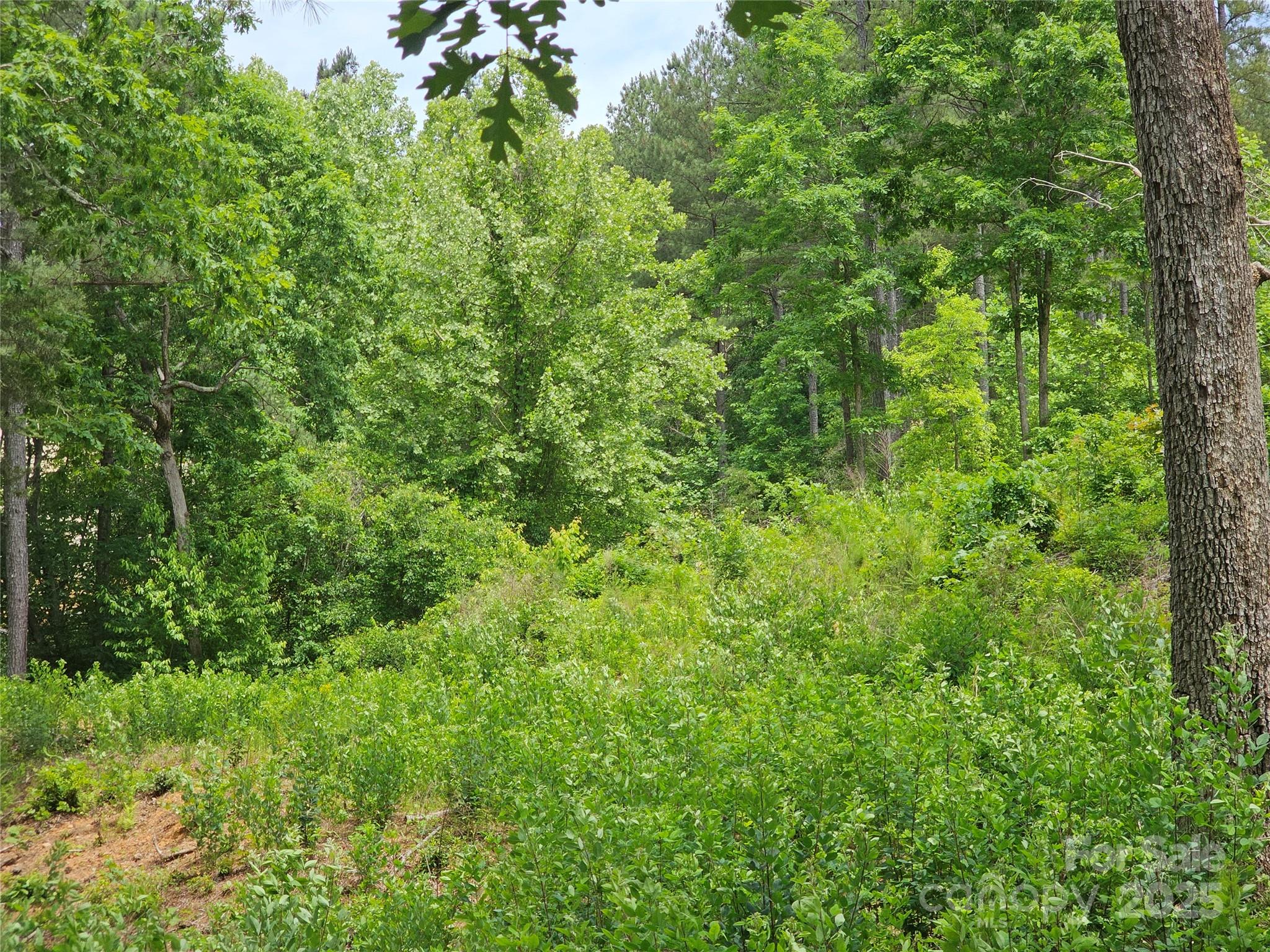 Island Pointe at Lake Vistas - Land