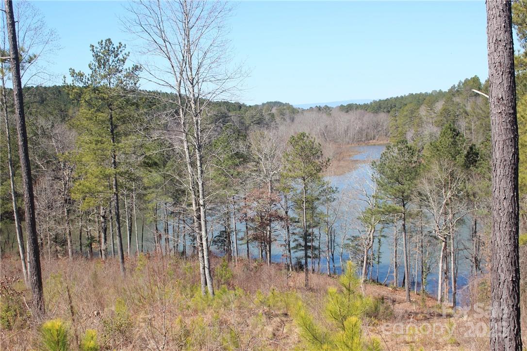 Island Pointe at Lake Vistas - Land