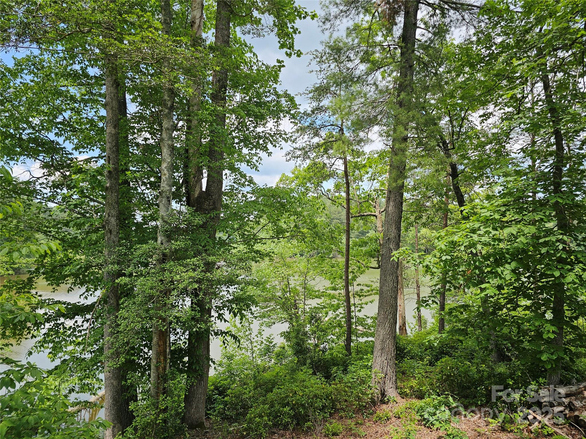 Island Pointe at Lake Vistas - Land