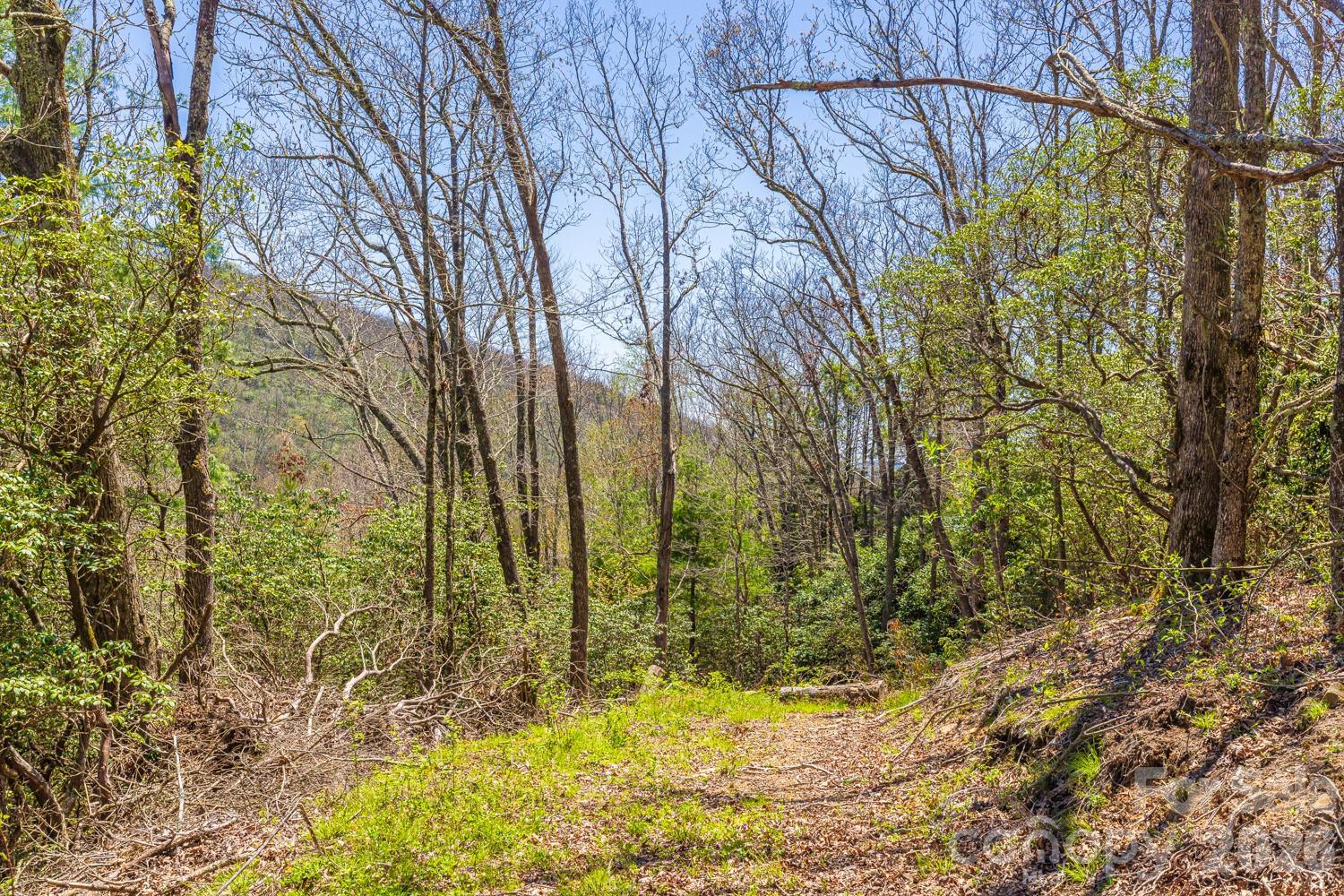 Fairview Forest - Land