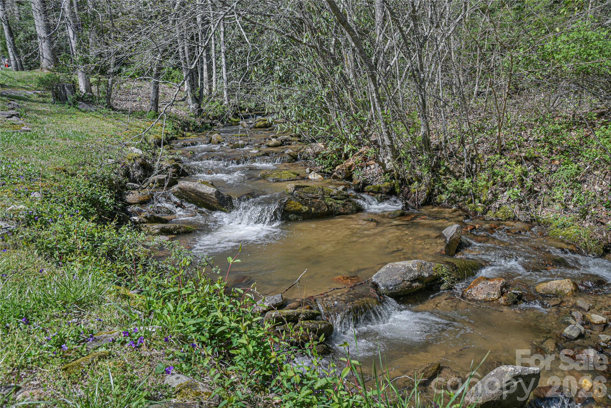 Fairview Forest - Land