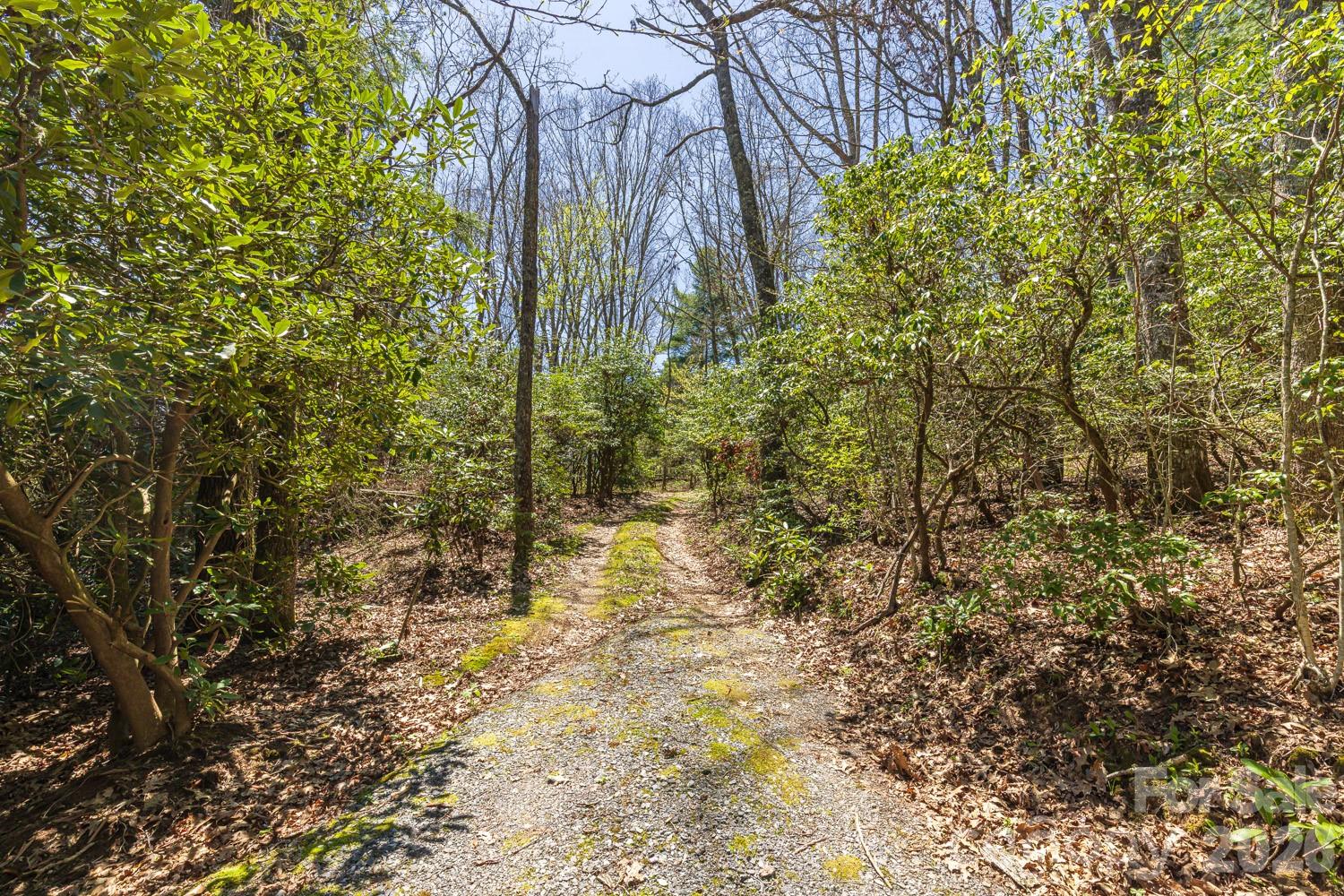 Fairview Forest - Land