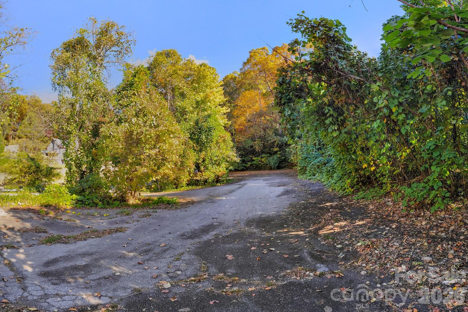Rumbling Bald on Lake Lure - Land