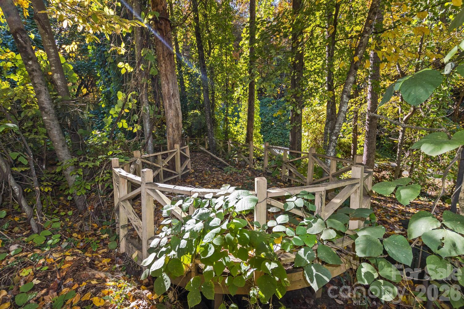 Rumbling Bald on Lake Lure - Land
