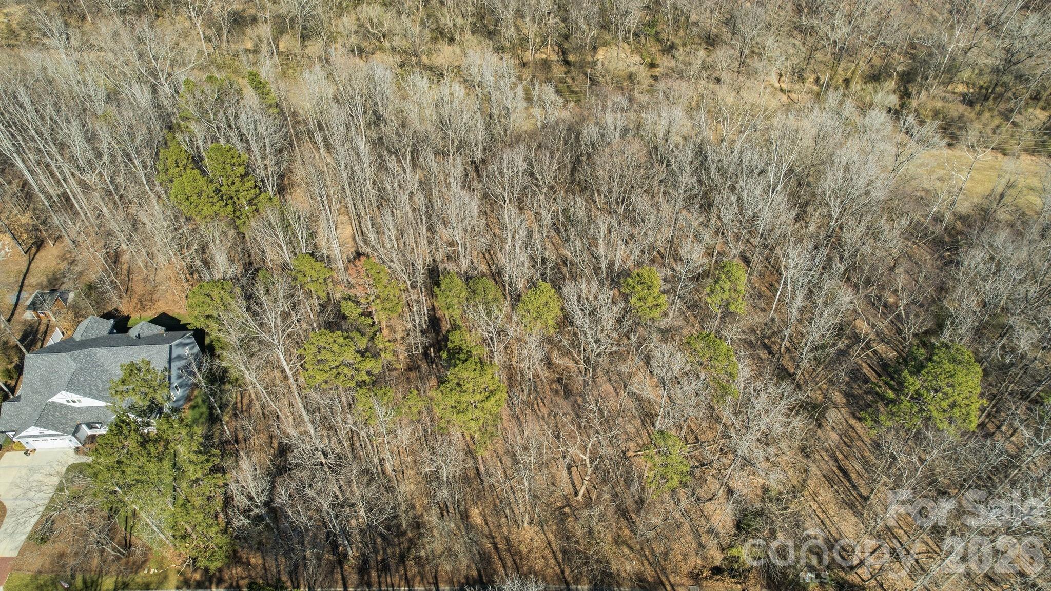 The Preserve at Cold Water Creek - Land