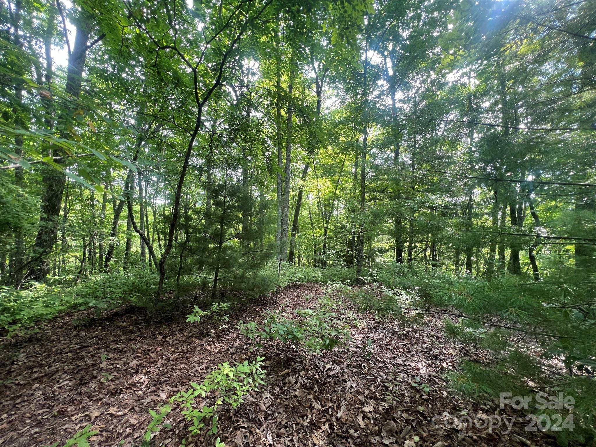 Big Hill - Land