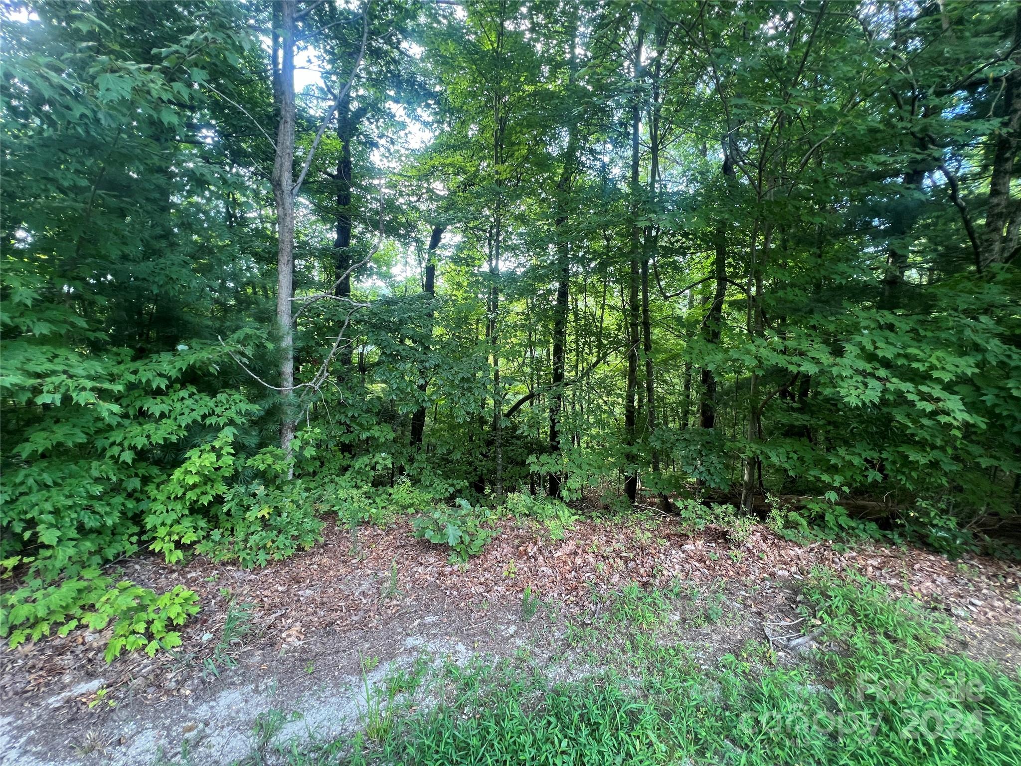Big Hill - Land