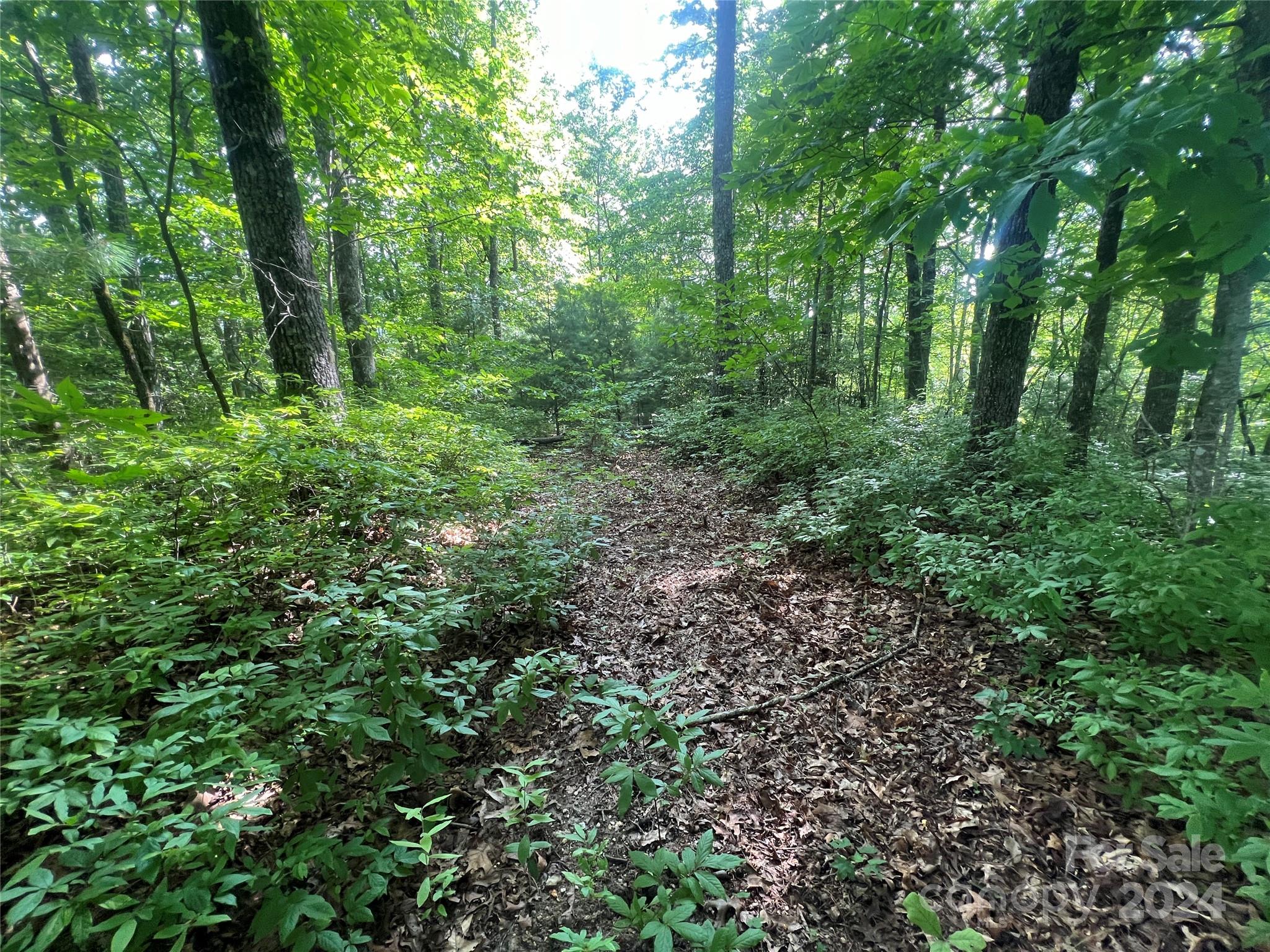 Big Hill - Land