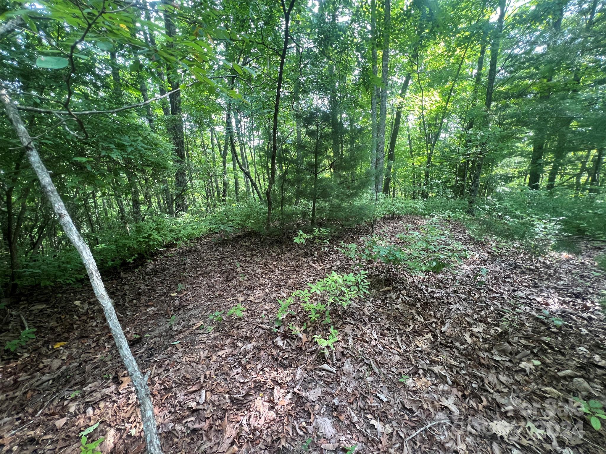 Big Hill - Land