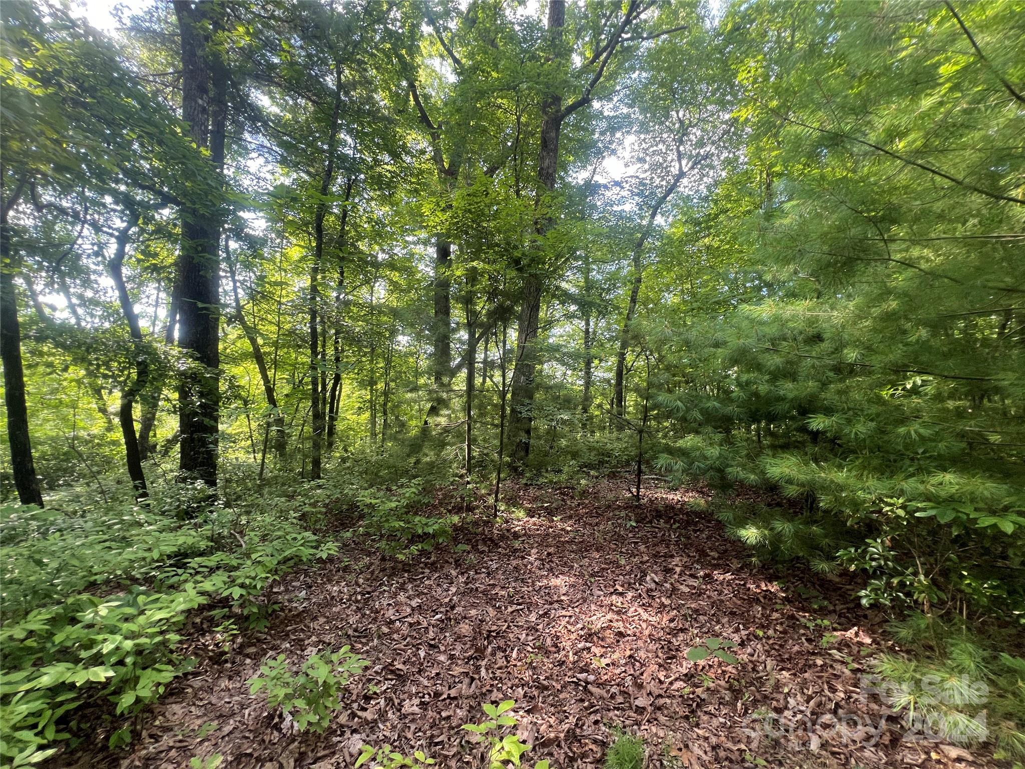 Big Hill - Land