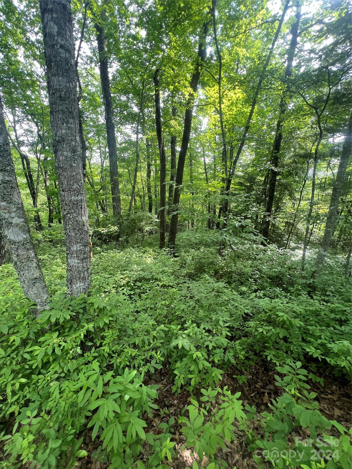 Big Hill - Land