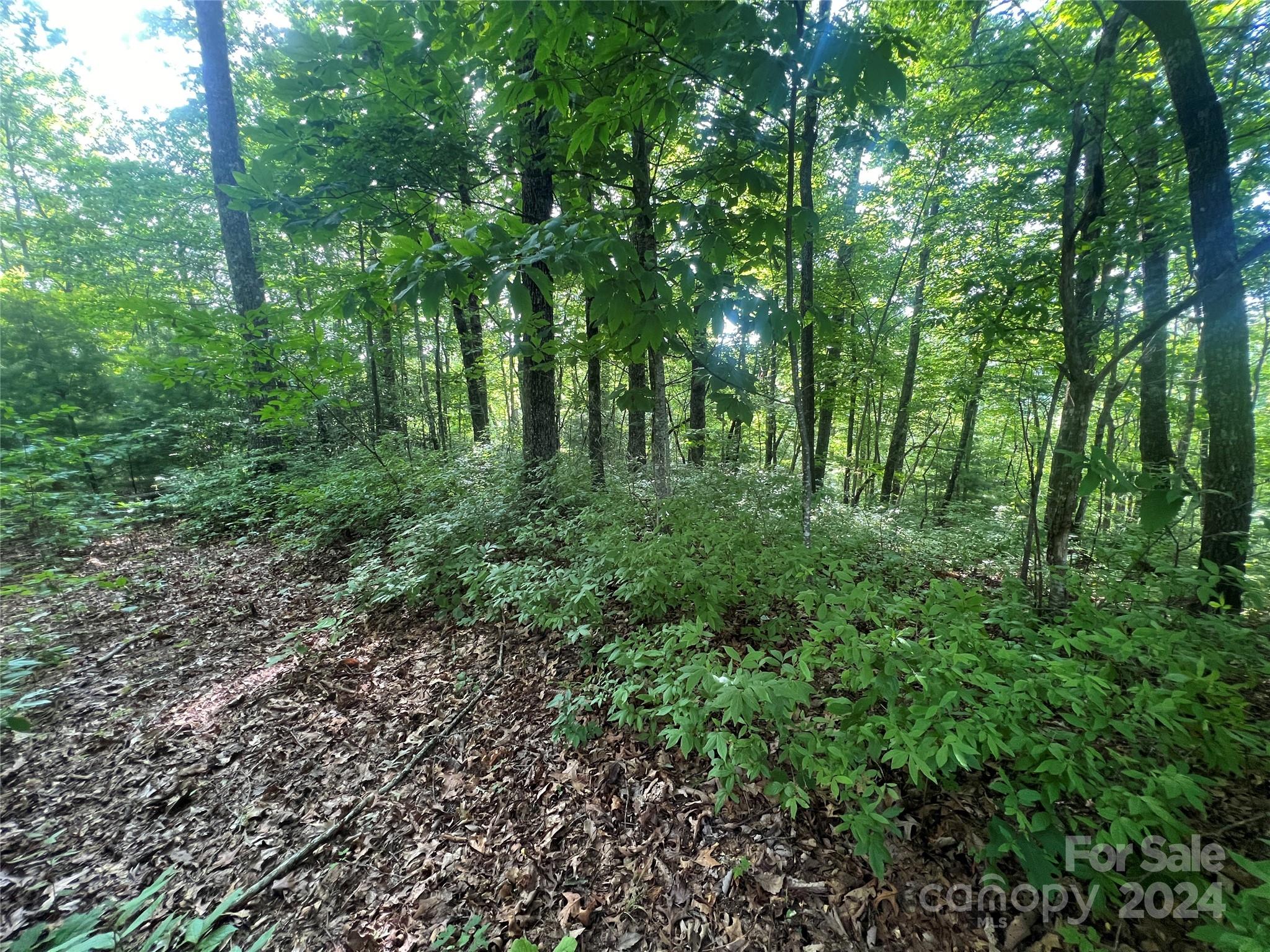 Big Hill - Land