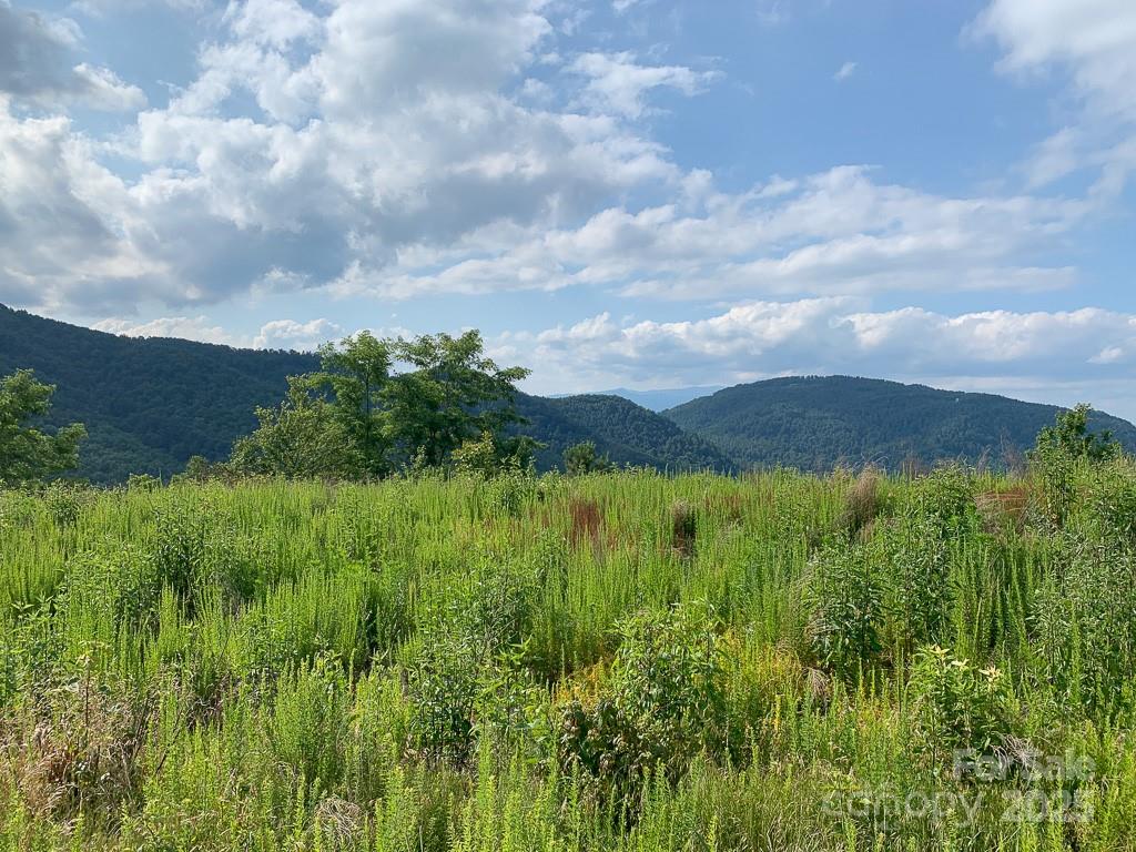 Grey Rock at Lake Lure - Land