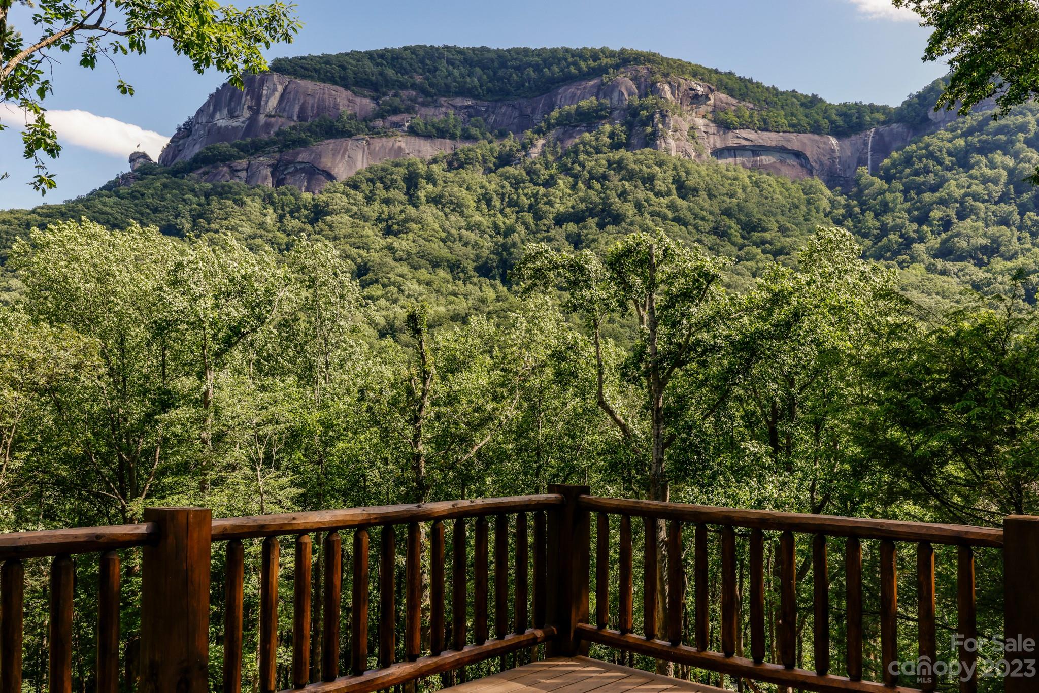 CHIMNEY ROCK NC----PRIVATE 41 ACRE ESTATE ADJOINING CHIMNEY ROCK STATE PARK................Located within walking distance of the Village of Chimney Rock, this incredible property boast spectacular views of Chimney Rock, Hickory Nut Falls, the Broad River......and features your very own rock cliffs, massive granite outcroppings, caves, mountain streams, multiple waterfalls and plenty of wildlife. Also included is a 2400 sq ft custom built, Pacific Log home with soaring 20 ft cathedral ceilings, massive stone fireplace and a wonderful wide open floor plan......all set in one of the most scenic, Park-like settings available in our region. City water & sewer available. Come see this once in a lifetime opportunity. Offered at $2,800,000.