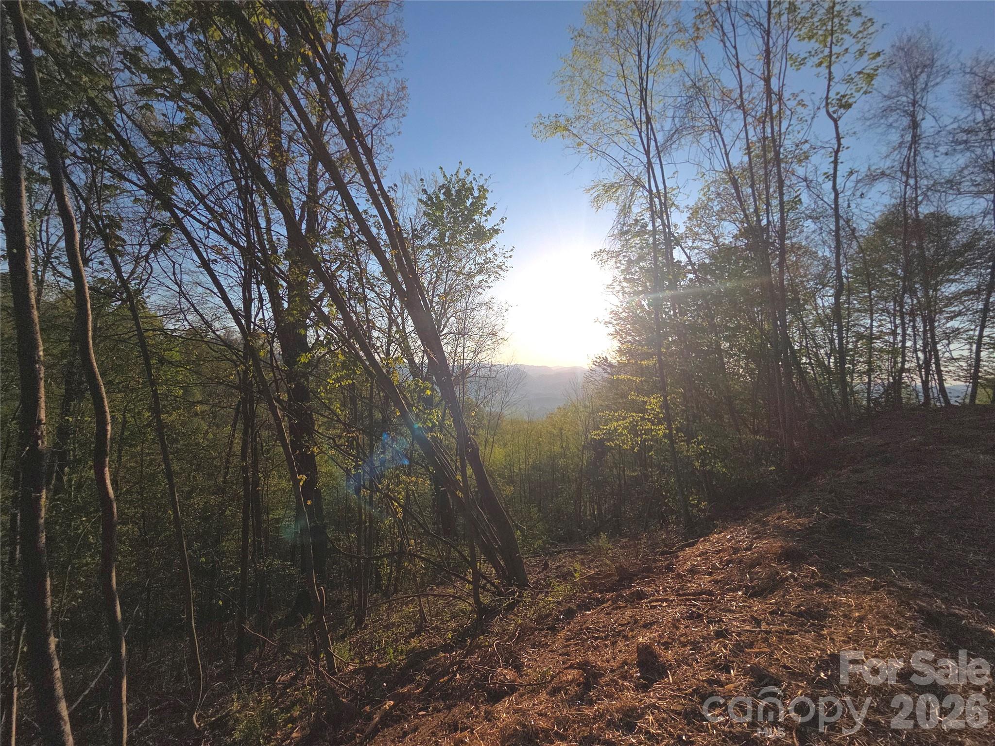 Utah Mountain Estates - Land