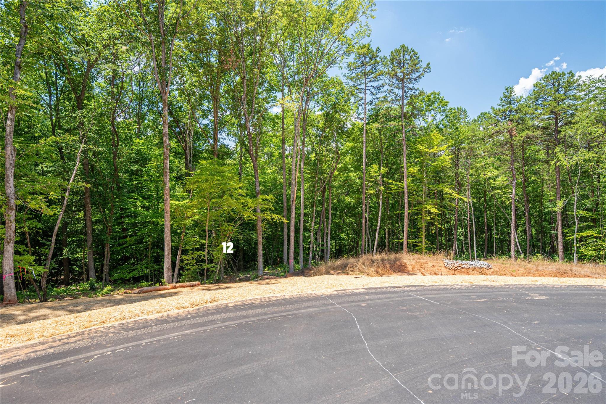 After much anticipation the Preserve at Grassy Creek Phase 2 is ready!  With only 13 wooded lots available ranging from 1 acre to 3.2 acres, privacy abounds in a subdivision where you can get out and walk your dog, soak up the peace found off the beaten path yet be a short drive to anything you desire!  Lot 12 is located in the culdesac and if you appreciate nature you will love this setting surrounded by trees, no road noise, just a peaceful spot to enjoy life.  Sitting at 1.53 acres it has already been perk tested for a 4 bedroom home.  The Preserve at Grassy Creek- Phase 2 (Denver, NC) is located about 30 minutes from Charlotte Douglas Airport, 40 minutes from downtown Charlotte and just minutes from shopping, restaurants, breweries, doctors offices and of course coffee shops!  Also to note a new gas station is coming soon to Hwy 16/150 intersection as well so it will be easy to fill up on your way to Hwy 150 or when you jump on new Hwy 16 to shoot to Charlotte.  This area is booming, don't delay and schedule a private tour today!  

Underground utilities will be installed soon.  Minimum 1800 sq ft to build.