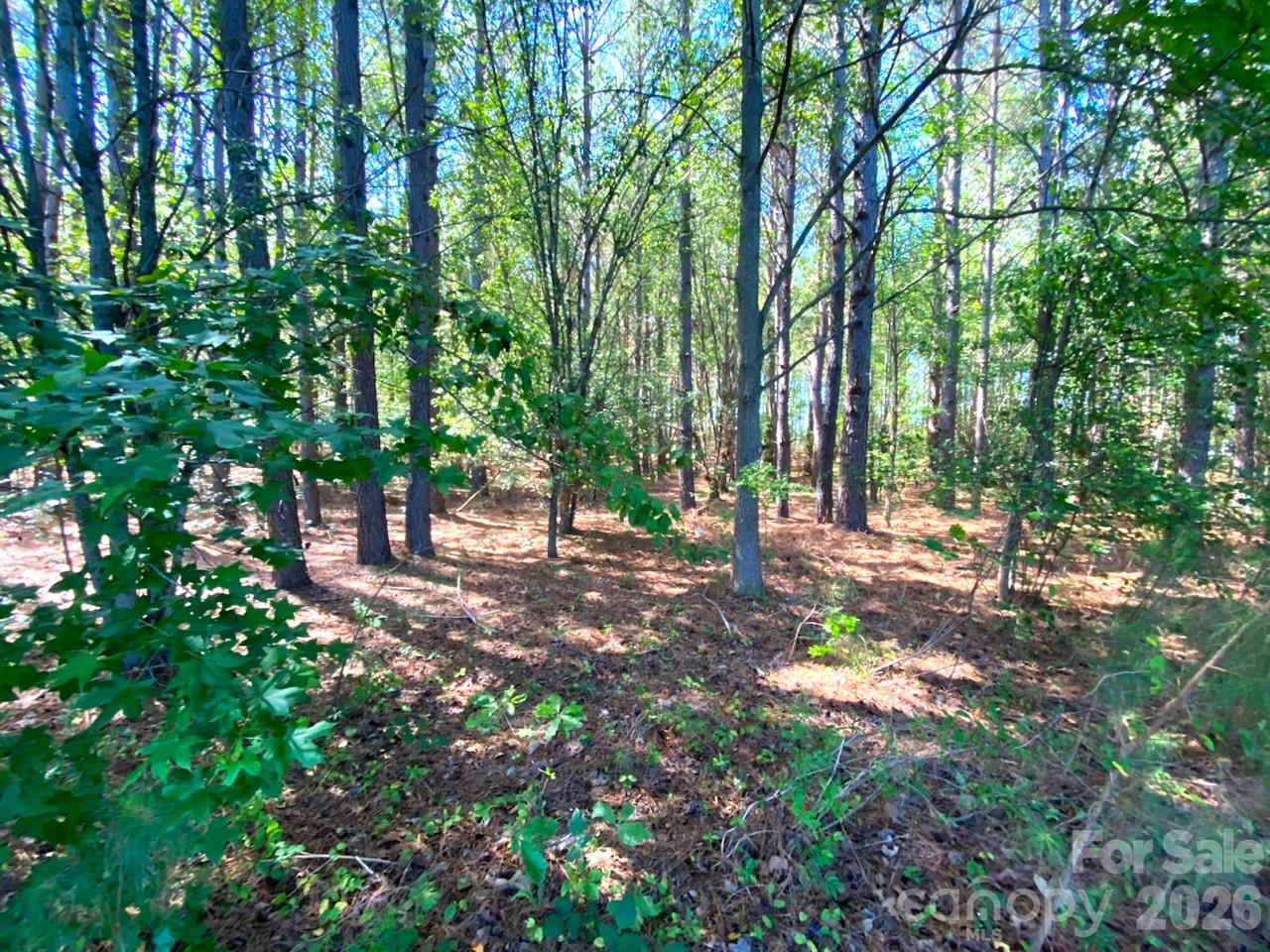 OWNER SAYS "SELL"! Beautiful, planted stand of trees on flat farm land now for sale.  Paved County road ,  water line at road.  Manufactured Homes are ok.  There are 2 Three acre tracts at $93,900 each.  Of course  one person could purchase more than 3 acres.  This area requires 3 acres sold per transaction.  Come out and take a look.  You can walk off the property of your dreams and have it surveyed if you like up to appx 6 acres.  The property sits on the North end of the property next to the fence line.  There is no sign.  But the property it will be cut from is 147 Baxter Rd. Owner needs to sell.  Bring your offers!