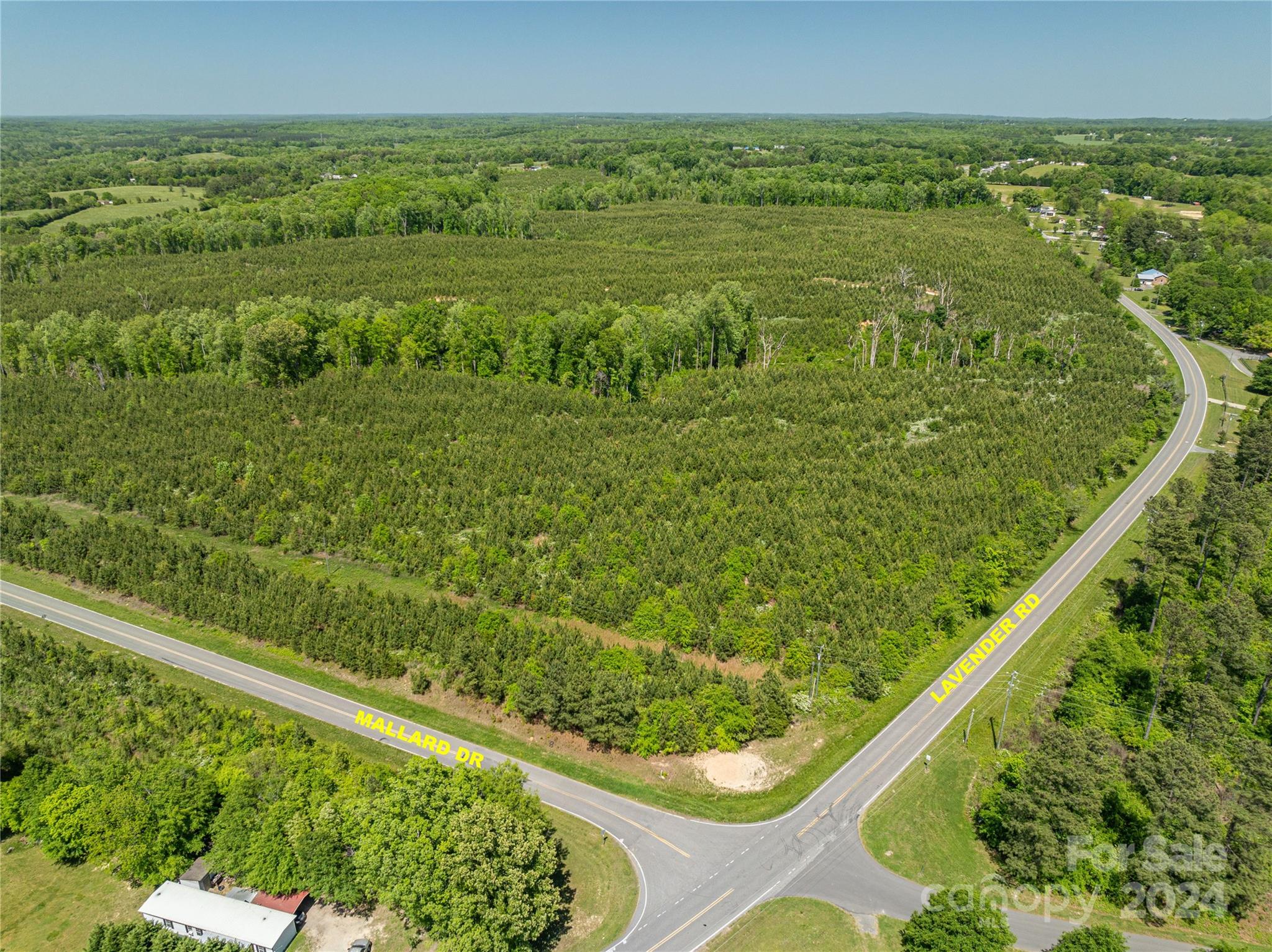 Escape to this beautiful, private property located in Grover, NC. Mins. away from Hwy I-85, less than 10 mins. from Catawba Kings Casino, and the perfect location for Charlotte or Greenville area commuters. This 352 Acre tree farm currently has managed forestry plans with approx. 250 acres of pines. There is a also a mixture of hardwoods. This property could be used for a # of possibilities including industrial, residential estates, or sub development.  Zoned residential.  There is .8 of a mile of road frontage on both sides of Mallard Dr, and an additional .5 miles of  rd. frontage on Lavender Rd. Also access from Cleveland Avenue. Three streams/creeks on property.   Being a 100+ yr old farm, there's an old homeplace structure, sheds, barn, and an abandoned mobile home on property.  The homeplace and mobile home are not currently habitable. 6” water line along Lavender Rd. & Cleveland Ave.  Capability of extending an existing 3” line on Mallard Dr., Natural gas is available.