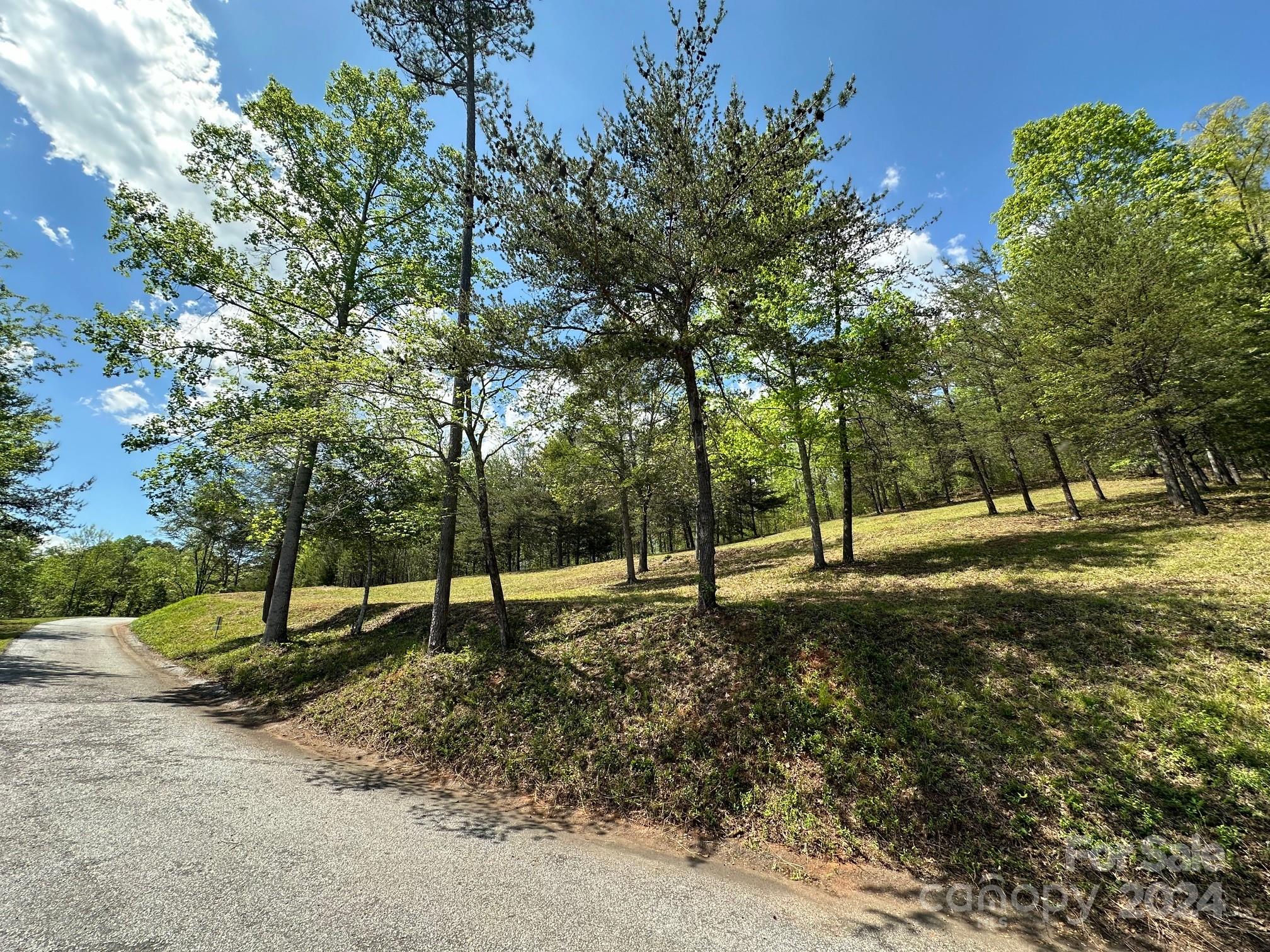 Vista At Bills Mountain - Land