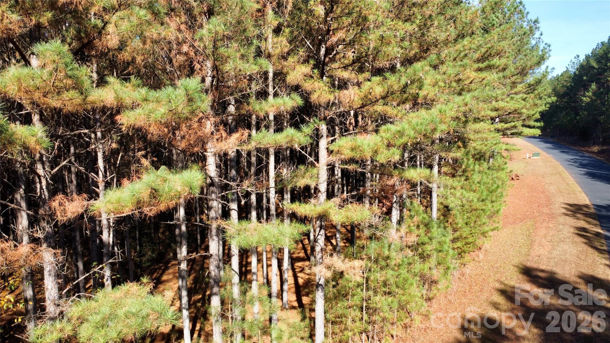 Broad River Highlands - Land