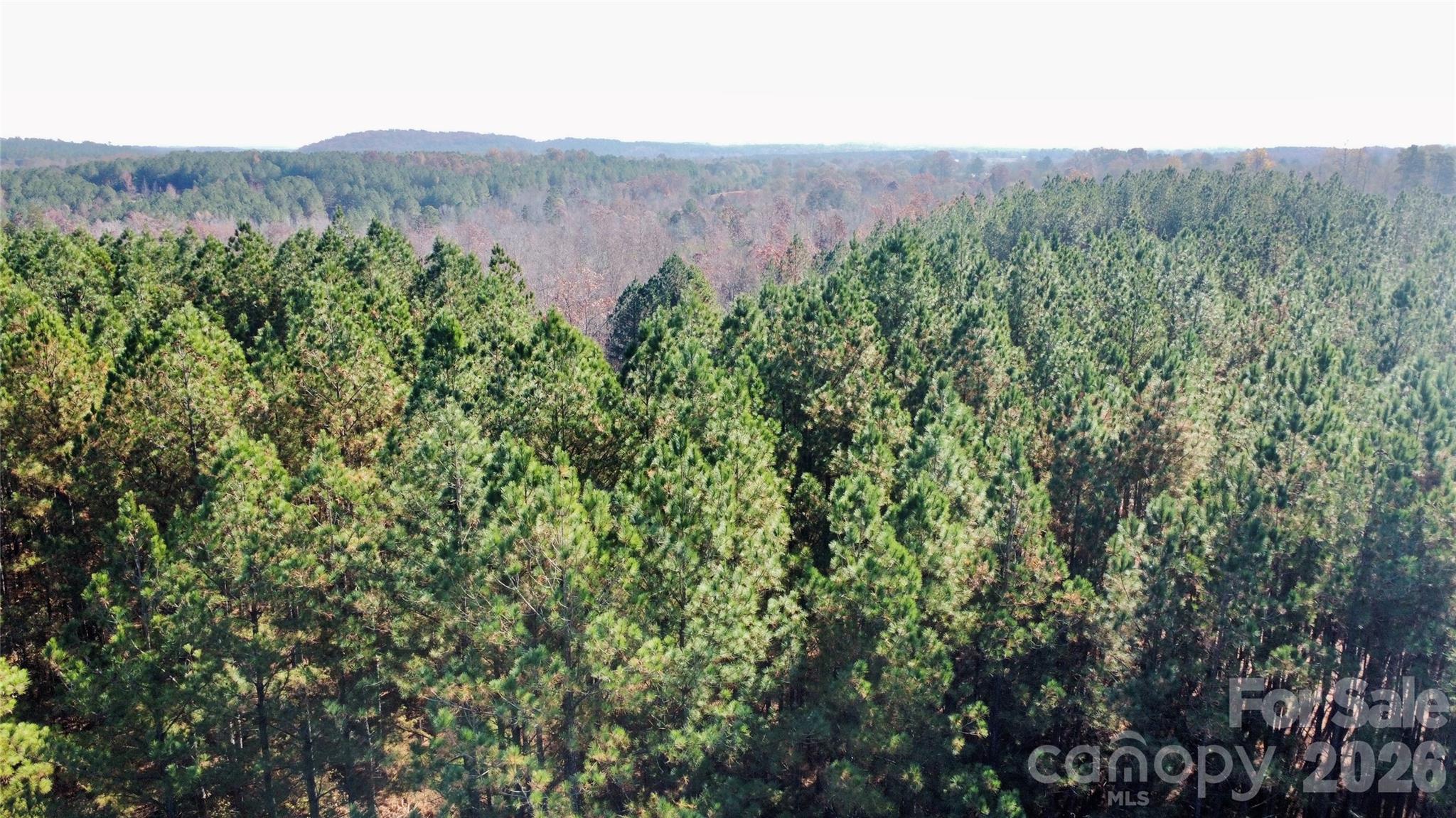 Broad River Highlands - Land