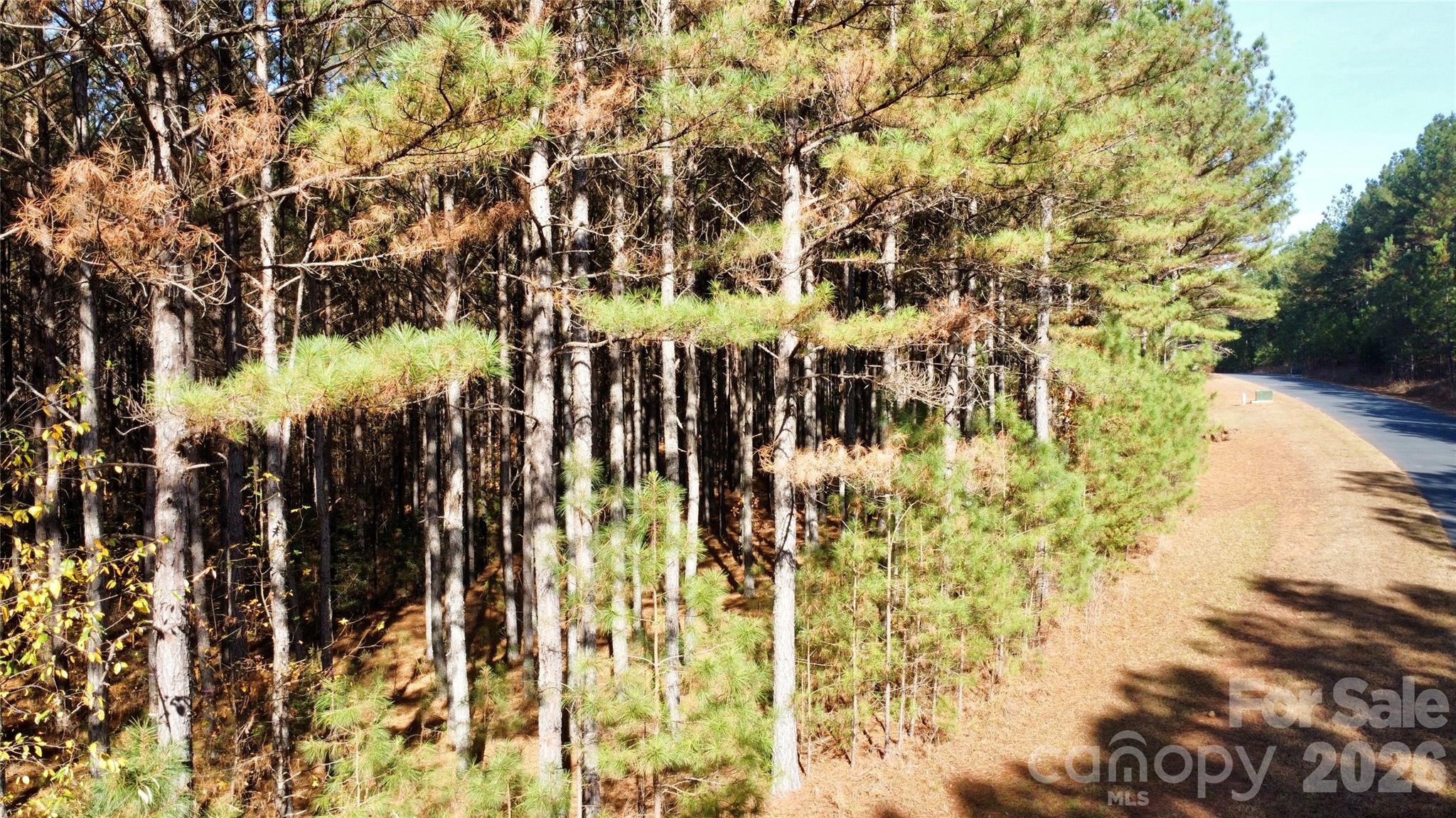 Broad River Highlands - Land