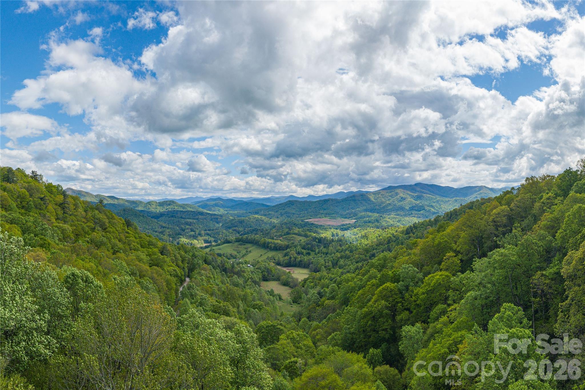 Apprx 54 Private Acres Near Maggie Valley-Stunning Views and Endless Potential!  Discover your own slice of nature just minutes from charming Maggie Valley!  Elevating from 3000 to 3500, sloping with views toward south and west splendor of Western NC! Nature and opportunity collide—raw mountain land, protective woods, spectacular vistas, and resident wildlife create the perfect canvas, whether dreaming of a private mountain home, a multi-home  compound, a few vacation cabins or a little of both! Enjoy its prime location just off I-40; protective restrictions within gated Hurricane Ridge community; building sites with long-range views; encourages hiking and restorative strolls through the property and greater community!  Power and several access points into the acreage are connected to the existing improved roads.  A great location to enjoy WNC and TN!  Enjoy plenty of day trips such as Biltmore Estate, historic nearby mountain towns' Main Streets, the Blue Ridge Parkway, Cataloochee Ski Area, Gatlinburg, Dollywood and Great Smoky Mountains National Park.