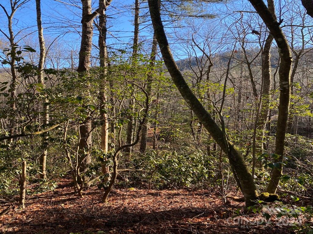 Round Mountain Falls - Land