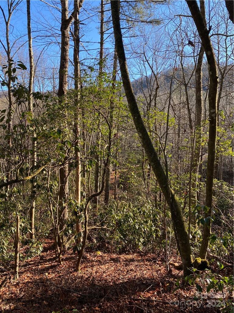 Round Mountain Falls - Land