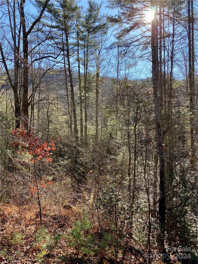 Round Mountain Falls - Land