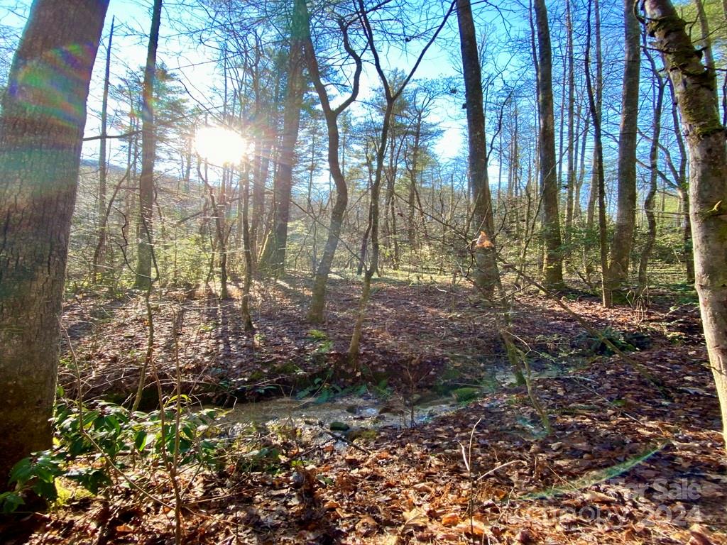 Round Mountain Falls - Land