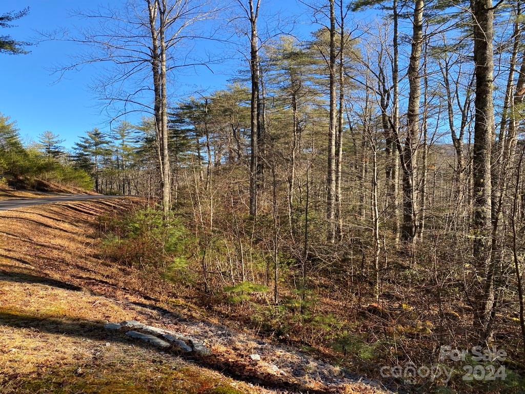 Round Mountain Falls - Land