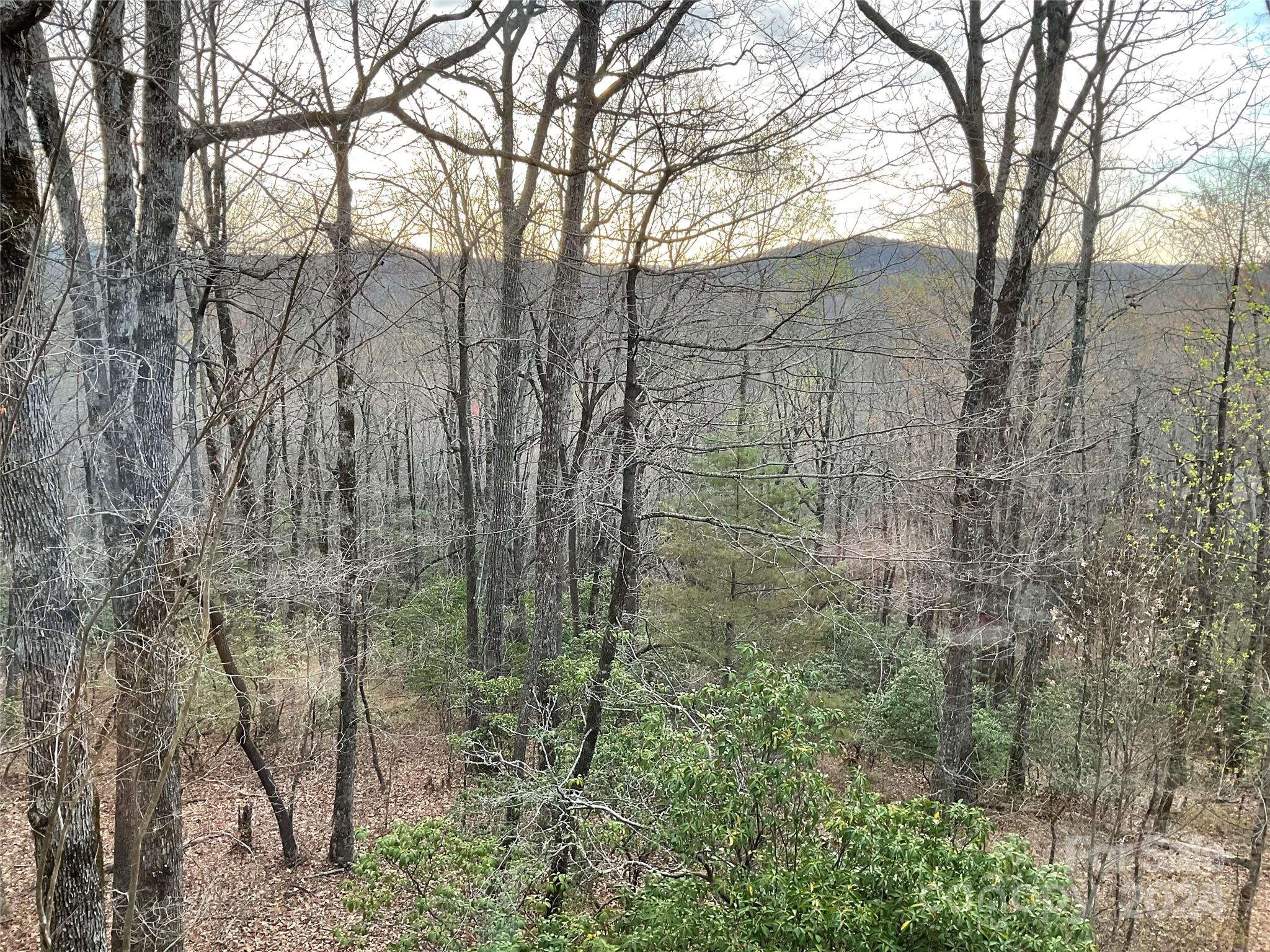 Connestee Falls - Residential