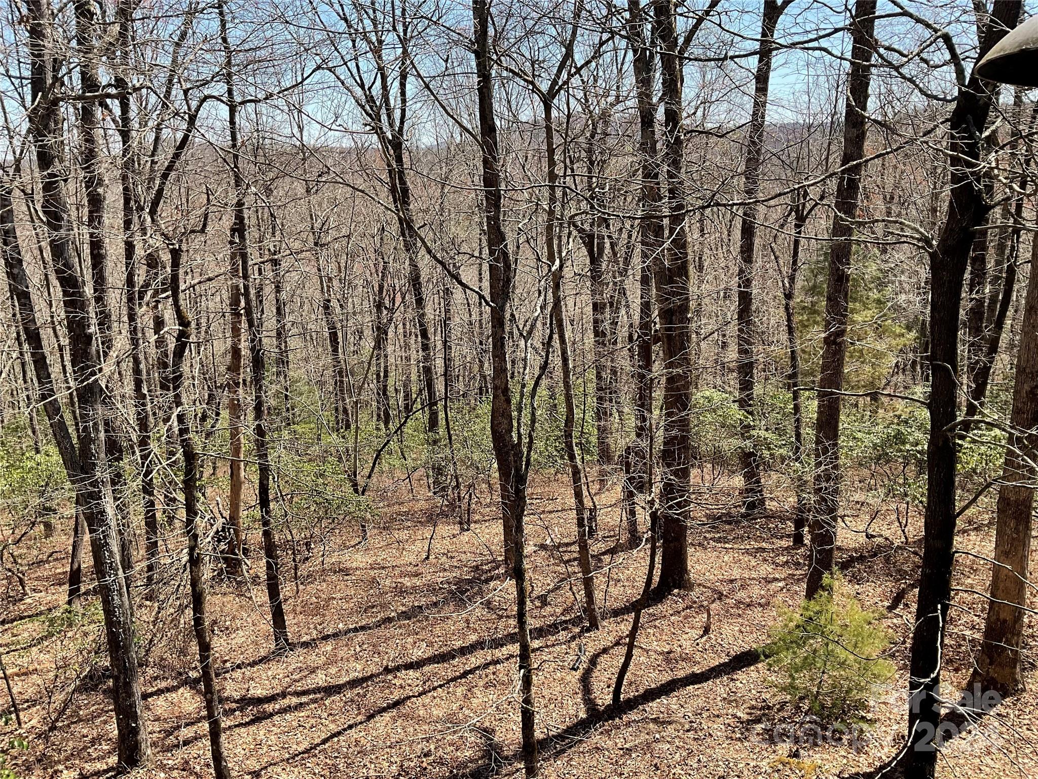 Connestee Falls - Residential
