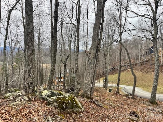 The Lodges at Eagles Nest - Land