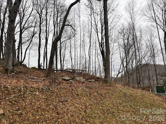The Lodges at Eagles Nest - Land