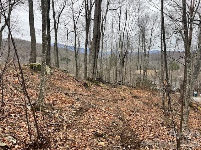 Build your dream mountain retreat on this beautiful 1.994-acre homesite located in the highly sought-after Cabins Section of The Lodges at Eagles Nest. Lot C-114 offers an excellent building spot perfectly positioned to capture close-range mountain views, giving you that immersive High Country feel while maintaining privacy and space.

With nearly two acres, you’ll have plenty of room to design your ideal mountain home. This lot provides a favorable build site, making the process of planning and construction even more appealing.

The Lodges at Eagles Nest is known for its world-class amenities, including hiking trails, ATV trails, a winery, fitness center, river access, sports courts, and more—offering an unmatched lifestyle in the Blue Ridge Mountains.

Enjoy the beauty of Banner Elk with easy access to skiing, dining, shopping, and year-round outdoor recreation.

Don’t miss this opportunity to own a premier homesite in one of the High Country’s most prestigious communities.