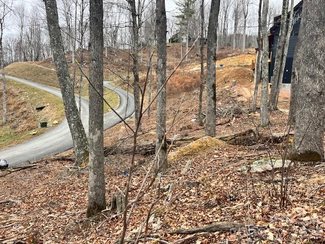 The Lodges at Eagles Nest - Land