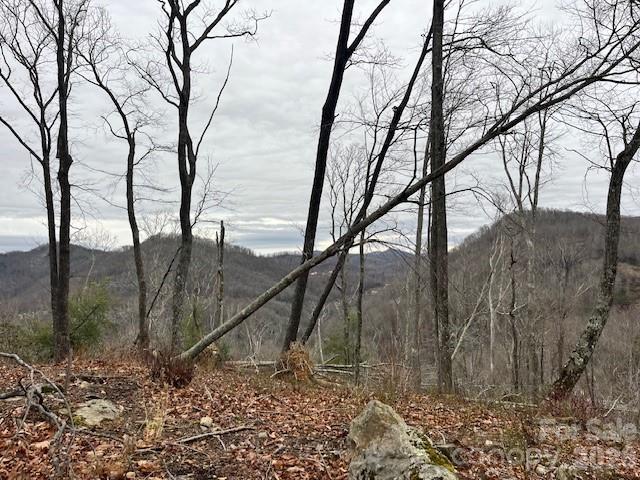 The Lodges at Eagles Nest - Land