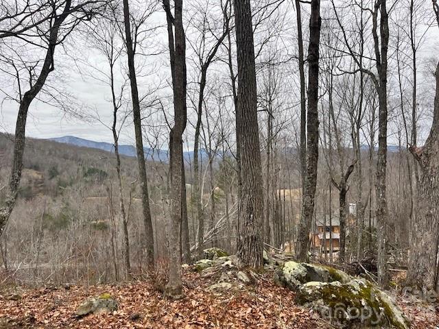 The Lodges at Eagles Nest - Land